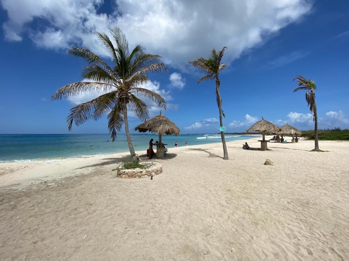 Luxury Ocean View Condo @ Aruba'S Palm Beach Zewnętrze zdjęcie
