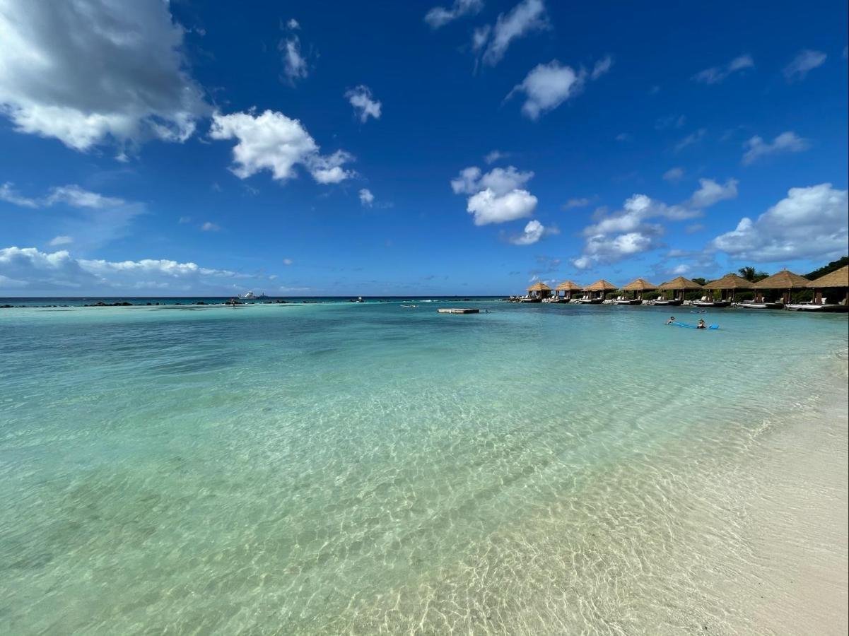 Luxury Ocean View Condo @ Aruba'S Palm Beach Zewnętrze zdjęcie